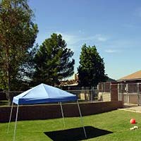 South yard of first dog building