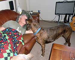 Bandit is a talented guitarist and loves to play his Les Paul