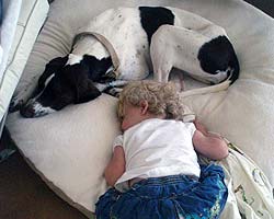 Jet and her new friend take a nap after a long day of playing