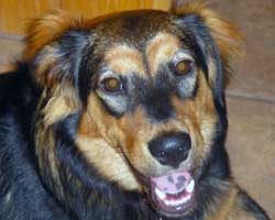 Despina, all grown up and happy as can be!