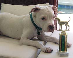 Fiona is proud of her trophy for "best student"