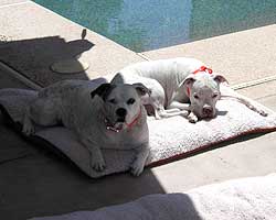 Lounging poolside with Big Sis