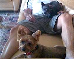 Gatsby snoozing with his adoptive father and his new friend Raja