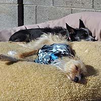 Getting some sun with his new pal Getting some sun with his new pal