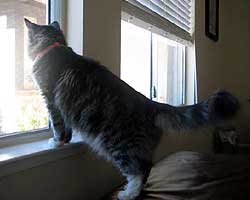 Holiday spends some time birdwatching