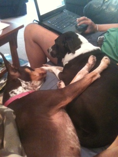 Couch potatoes