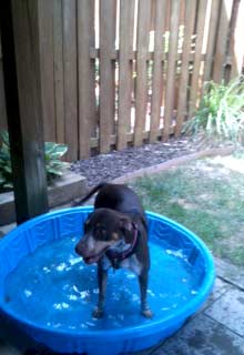 Legacy cooling off in her very own pool
