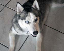 Sierra is happy to be home!
