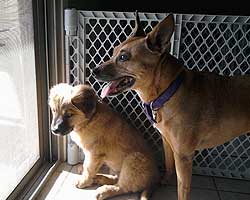 Stormy and Juliet
